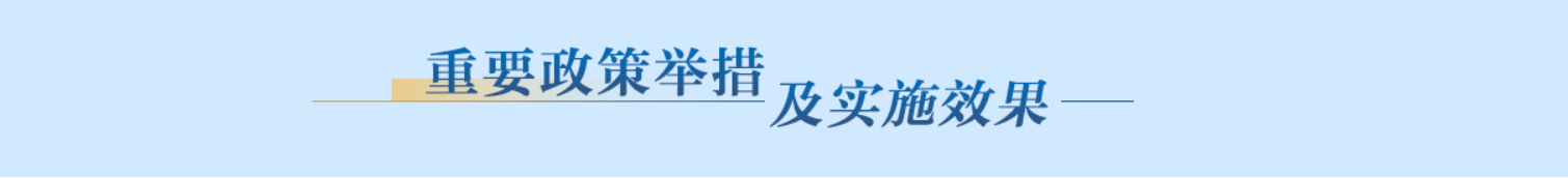 重要政策舉措及實(shí)施效果